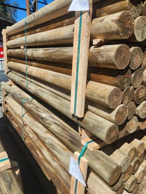 WhatsApp Image 2025-10-05 at 6.25.19 PM (1)