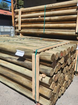 WhatsApp Image 2025-10-05 at 6.25.20 PM (5)